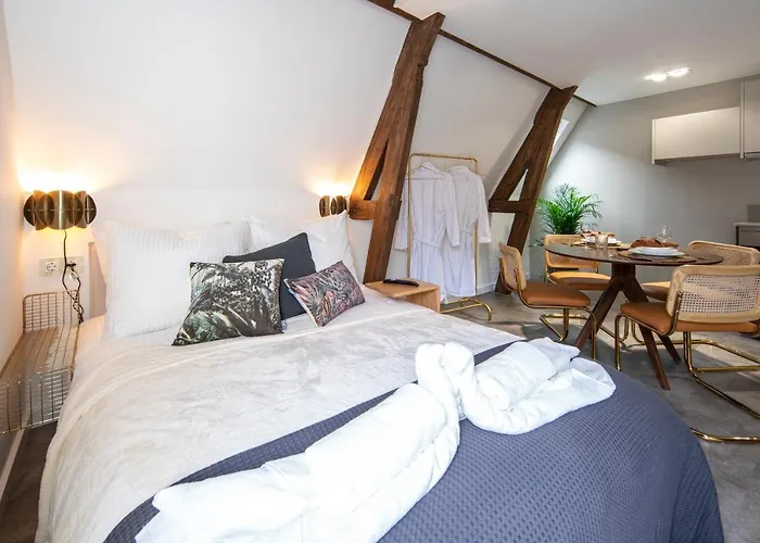 Family Penthouse 7-minutes From Rotterdam Newly Build Floor Terrace R5 3* Schiedam